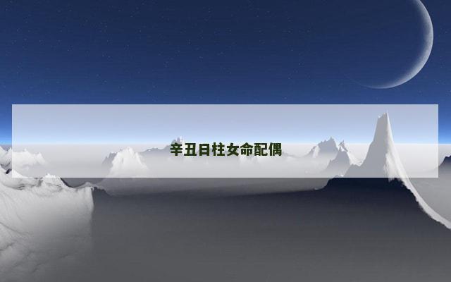 辛丑日柱女命配偶