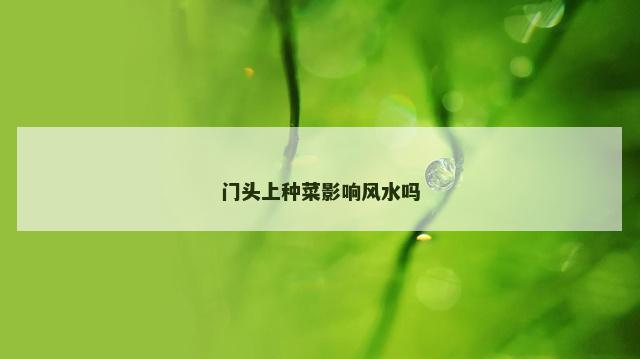 门头上种菜影响风水吗