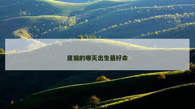 属猴的哪天出生最好命