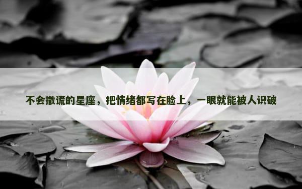 不会撒谎的星座，把情绪都写在脸上，一眼就能被人识破