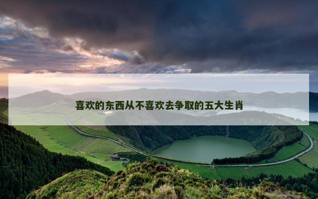 喜欢的东西从不喜欢去争取的五大生肖