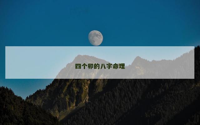 四个卯的八字命理