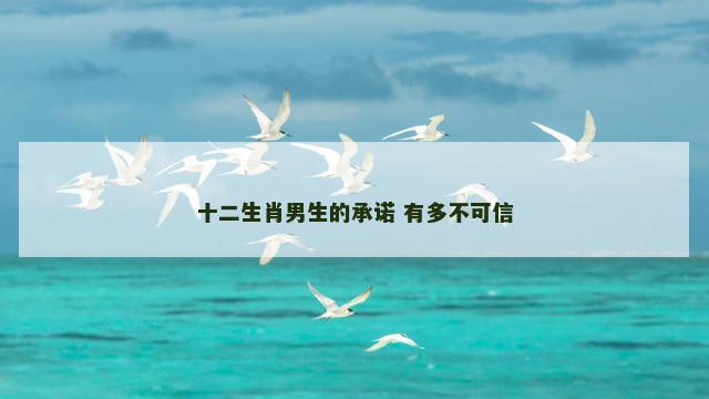 十二生肖男生的承诺 有多不可信