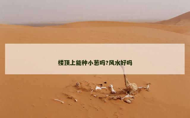 楼顶上能种小葱吗?风水好吗