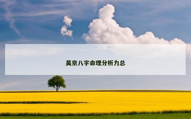 吴京八字命理分析力总