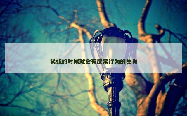 紧张的时候就会有反常行为的生肖