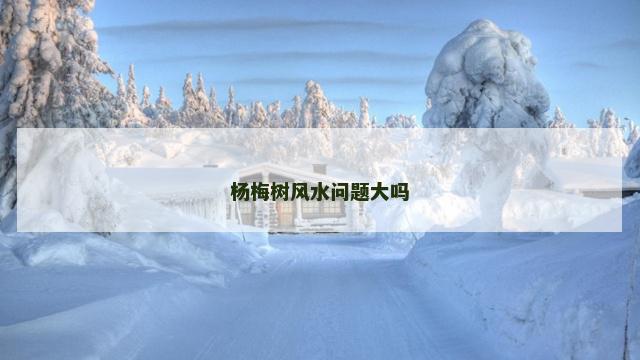杨梅树风水问题大吗