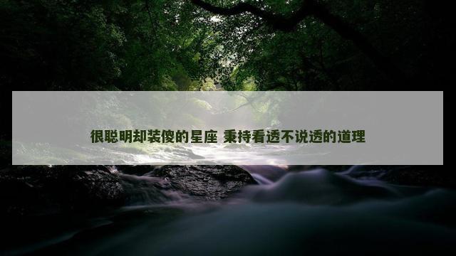 很聪明却装傻的星座 秉持看透不说透的道理