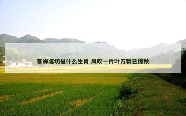 寒蝉凄切是什么生肖 风吹一片叶万物已惊秋