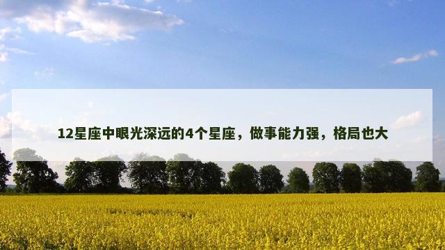 12星座中眼光深远的4个星座，做事能力强，格局也大