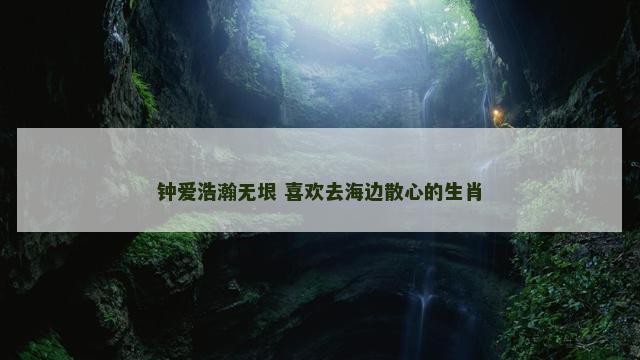 钟爱浩瀚无垠 喜欢去海边散心的生肖