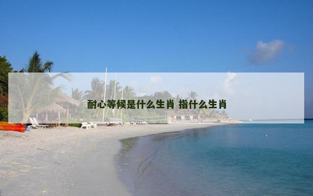耐心等候是什么生肖 指什么生肖