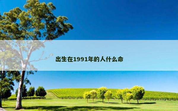 出生在1991年的人什么命