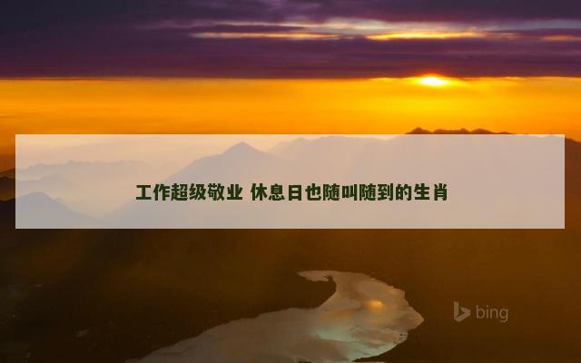 工作超级敬业 休息日也随叫随到的生肖
