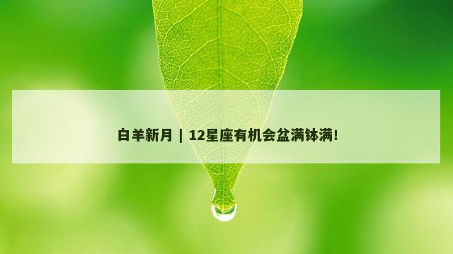 白羊新月 | 12星座有机会盆满钵满！