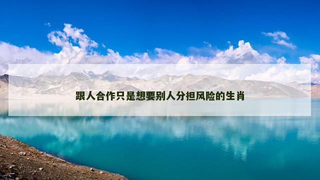 跟人合作只是想要别人分担风险的生肖