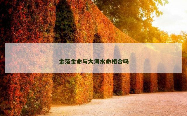 金箔金命与大海水命相合吗