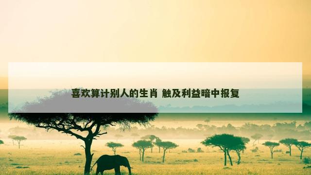 喜欢算计别人的生肖 触及利益暗中报复