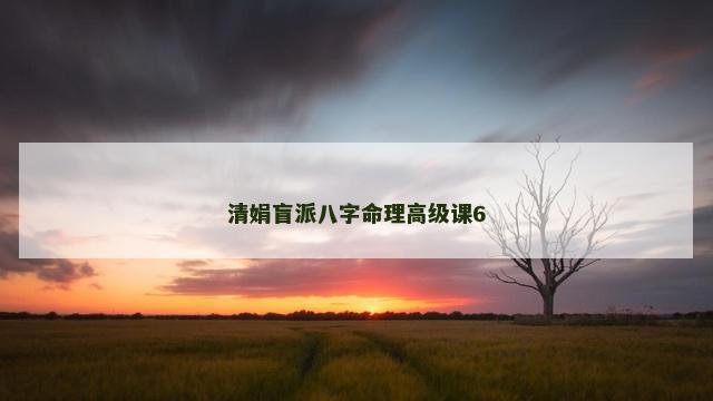 清娟盲派八字命理高级课6