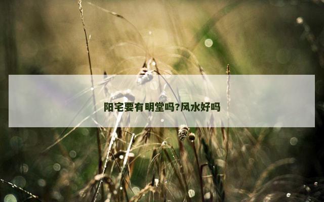 阳宅要有明堂吗?风水好吗