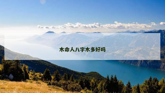 木命人八字木多好吗