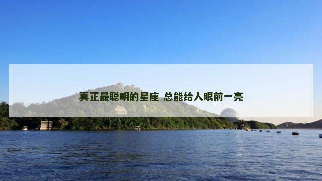 真正最聪明的星座 总能给人眼前一亮