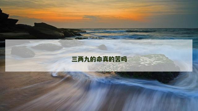 三两九的命真的苦吗