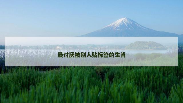 最讨厌被别人贴标签的生肖