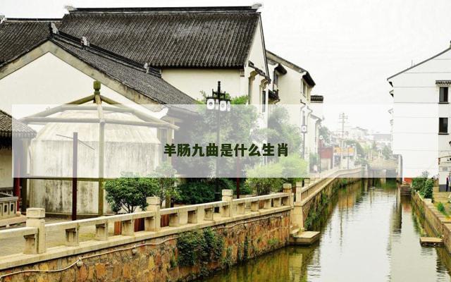 羊肠九曲是什么生肖