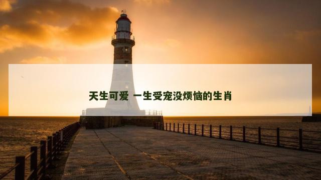 天生可爱 一生受宠没烦恼的生肖