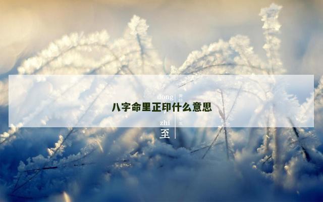 八字命里正印什么意思
