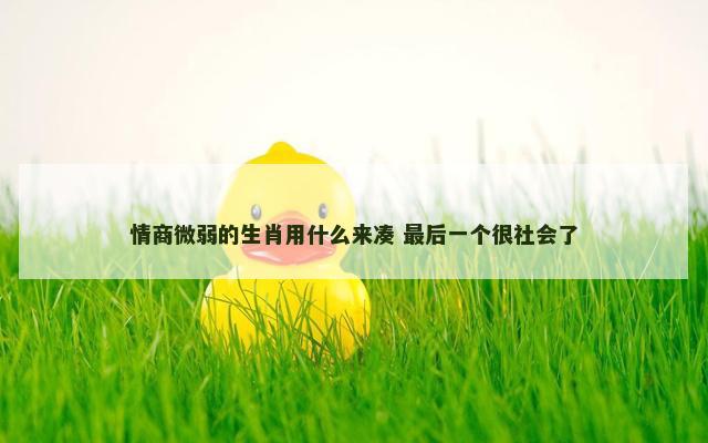 情商微弱的生肖用什么来凑 最后一个很社会了
