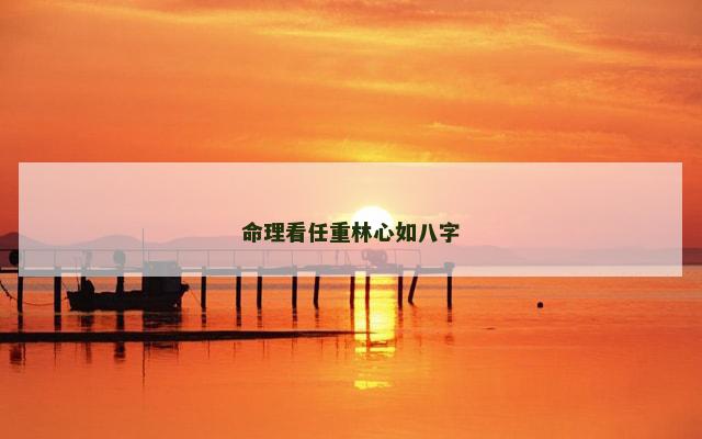 命理看任重林心如八字