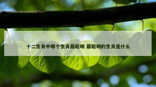 十二生肖中哪个生肖最聪明 最聪明的生肖是什么