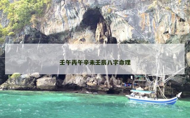 壬午丙午辛未壬辰八字命理