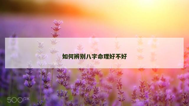 如何辨别八字命理好不好