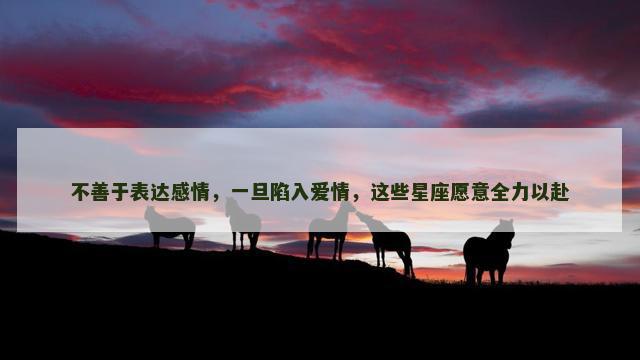 不善于表达感情，一旦陷入爱情，这些星座愿意全力以赴