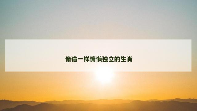 像猫一样慵懒独立的生肖