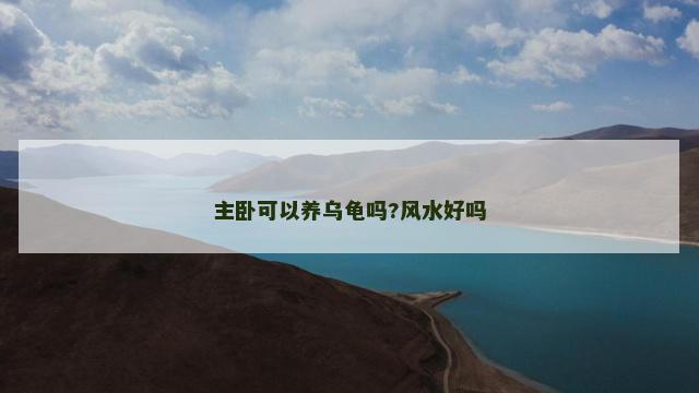 主卧可以养乌龟吗?风水好吗