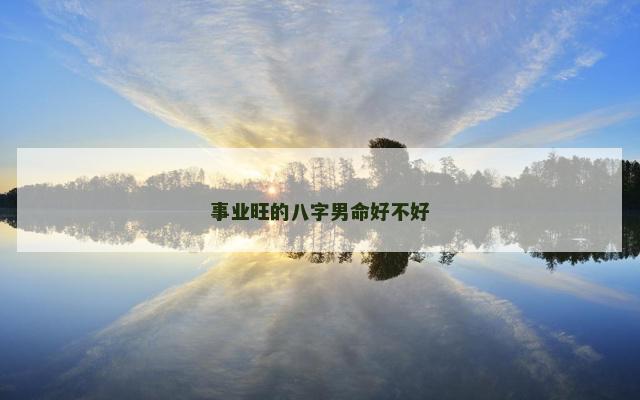 事业旺的八字男命好不好