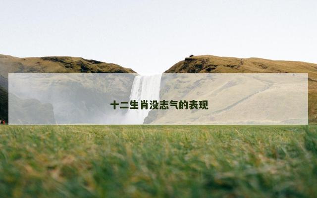 十二生肖没志气的表现