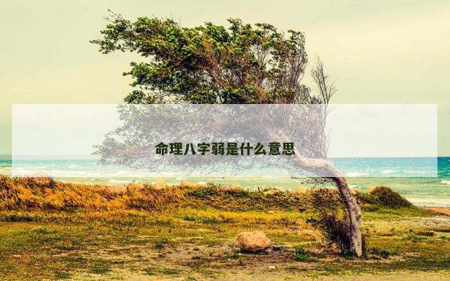 命理八字弱是什么意思