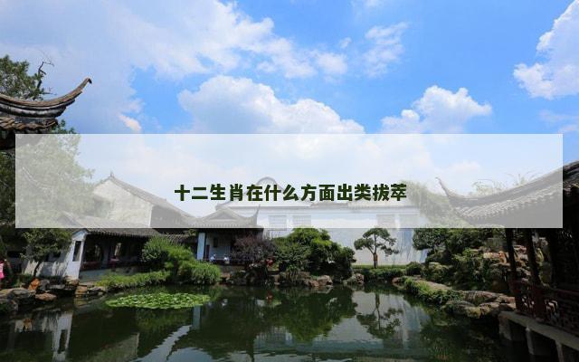 十二生肖在什么方面出类拔萃