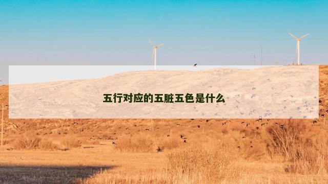 五行对应的五脏五色是什么