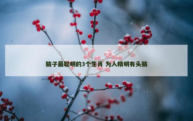 脑子最聪明的3个生肖 为人精明有头脑