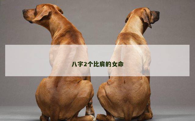 八字2个比肩的女命