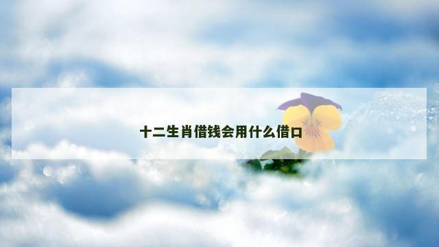 十二生肖借钱会用什么借口