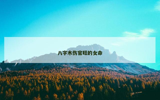 八字木伤官旺的女命