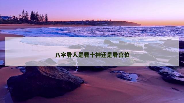 八字看人是看十神还是看宫位