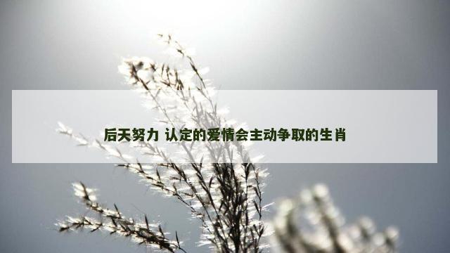 后天努力 认定的爱情会主动争取的生肖